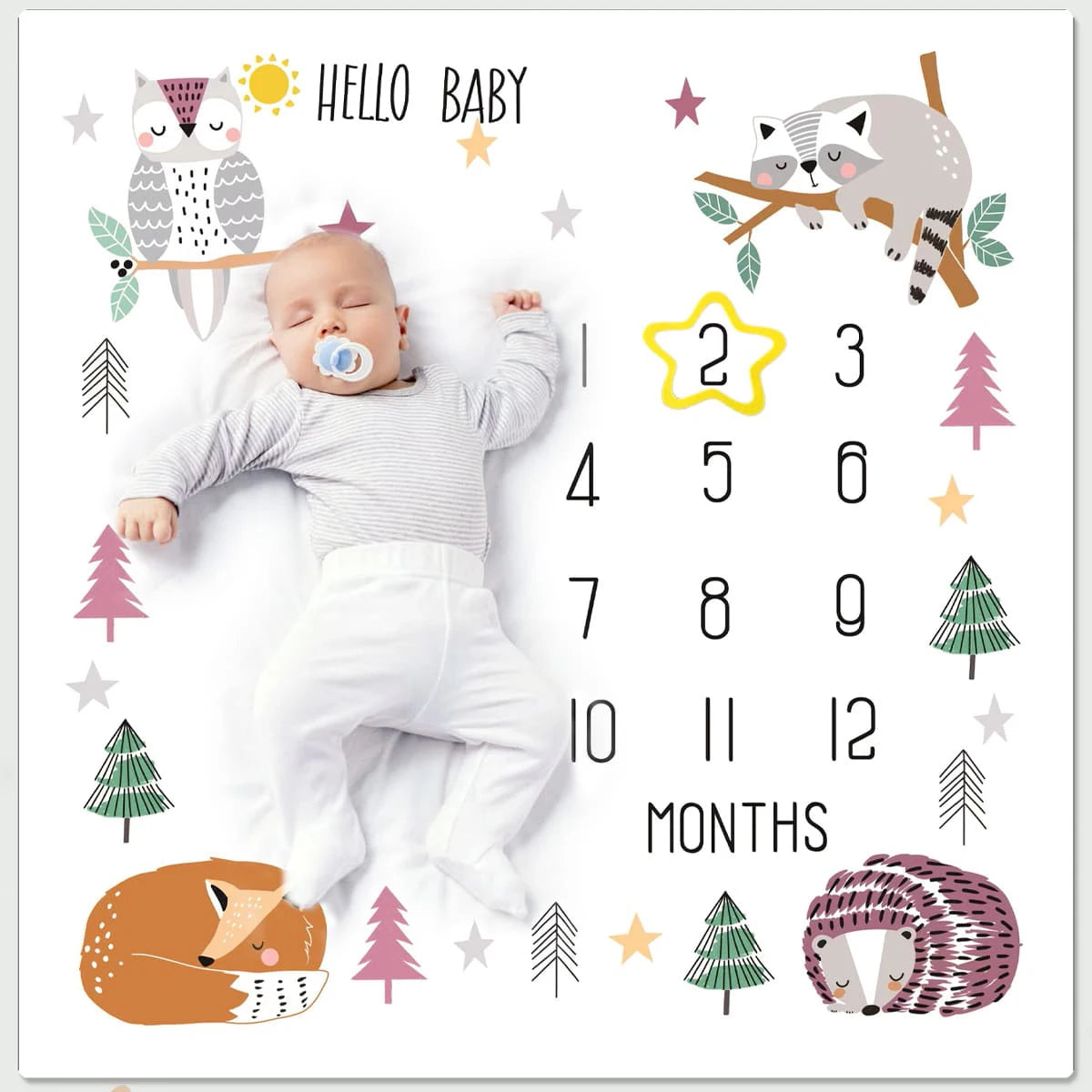 Newborn Monthly Photo Session Blanket For Baby Growth To Remember